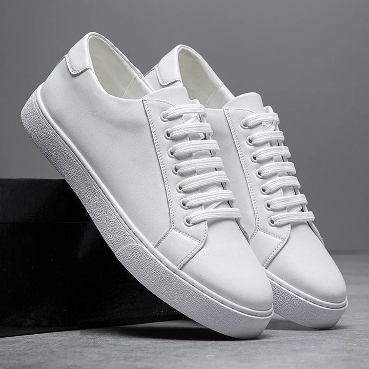 Bellini | Baskets en Cuir Italien